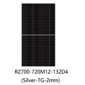 1.1 RZ700-720M12-132D4(Silver-TG-2mm)